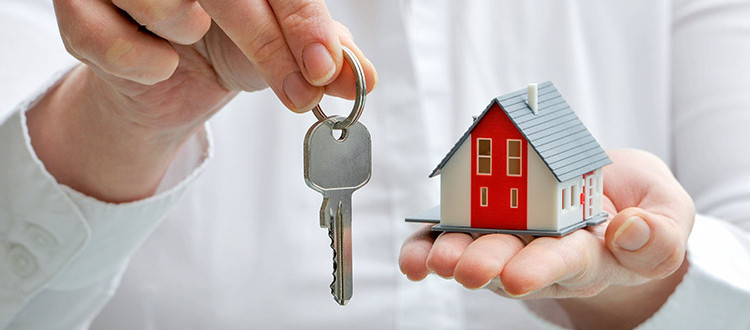 immobilienmakler